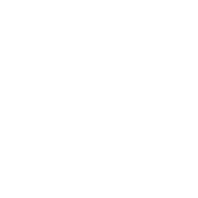 MAUTNER Leistungsbereich Icon